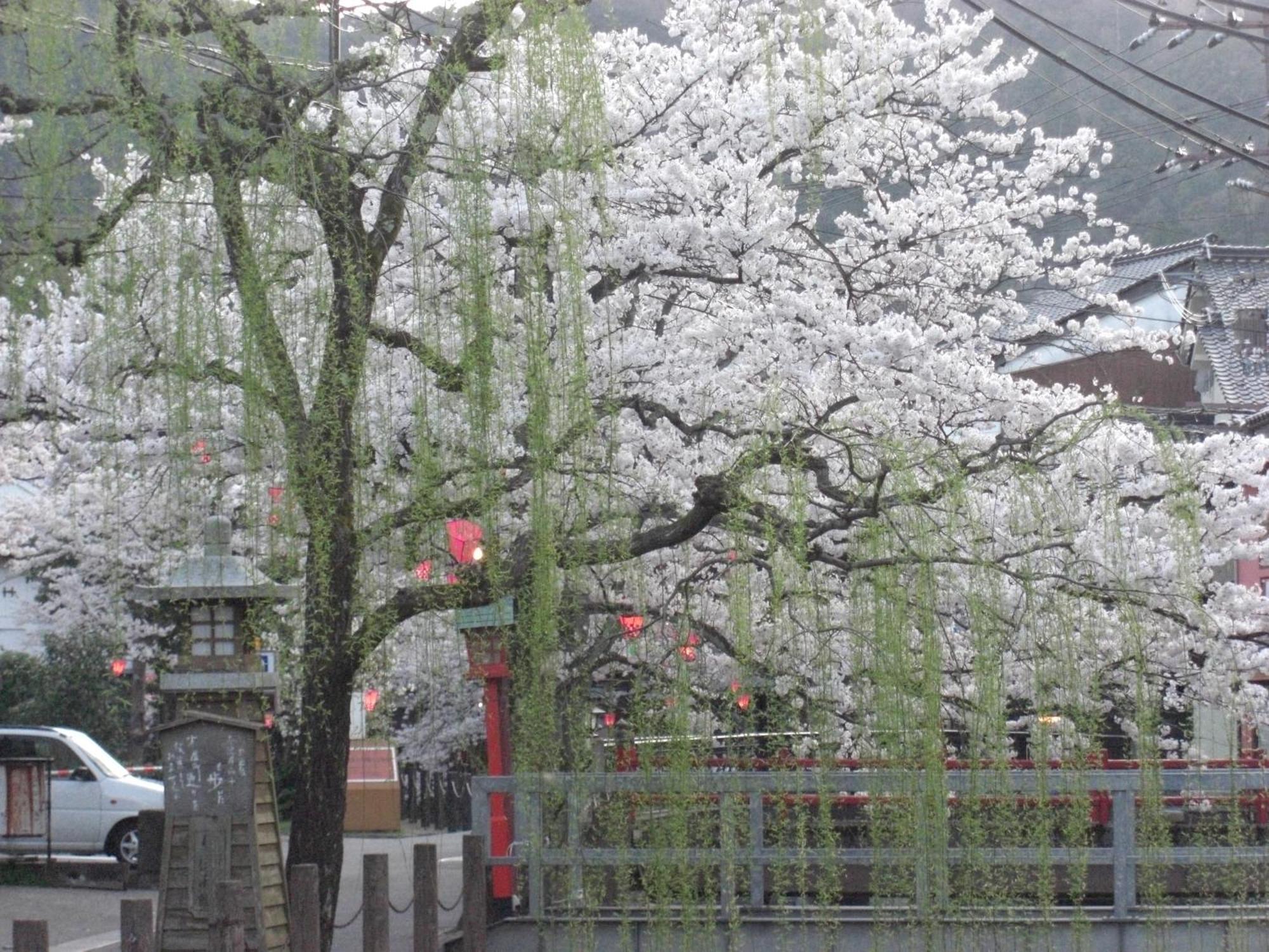 Ryokan Matsuya Toyooka  Exterior photo